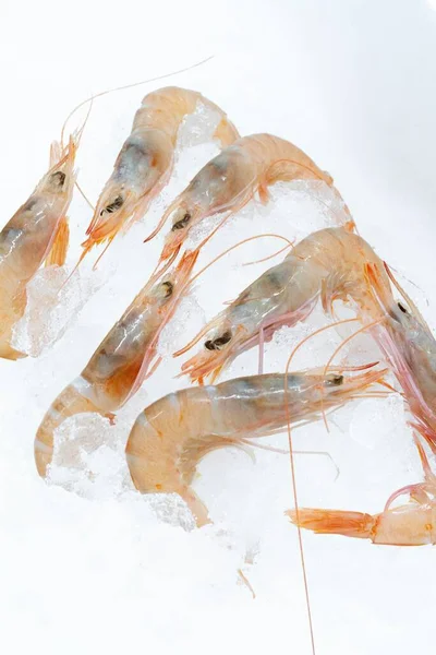 Plan Vertical Crevettes Fraîches Crues Sur Glace Affichée Sur Marché — Photo