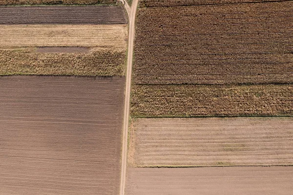 Aerial View Road Wheat Fields — Stock Photo, Image