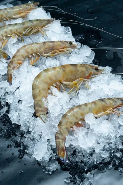 Plan Vertical Crevettes Fraîches Crues Sur Glace Exposée Dans Marché — Photo