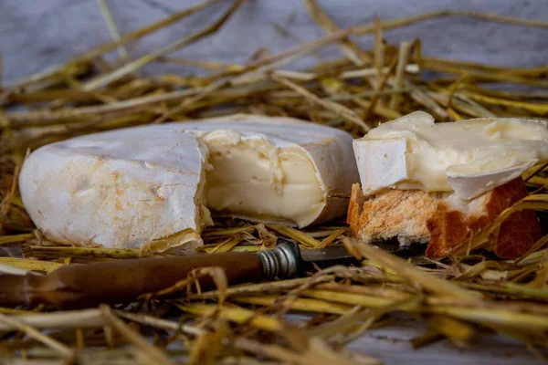 Крупный План Французского Сыра Tomme Savoie Кусочка Багета — стоковое фото