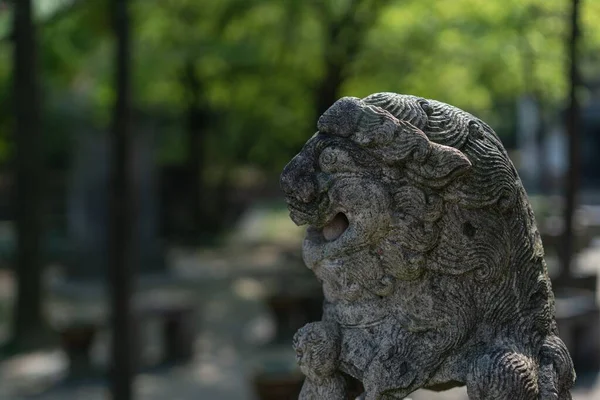 중국식 조각상 — 스톡 사진