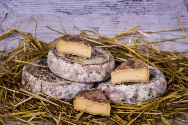 Fransız Tomme Savoie Peynirinin Yakın Plan Çekimi — Stok fotoğraf