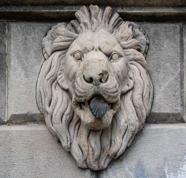 Kamenná Socha Středověké Lví Hlavy — Stock fotografie