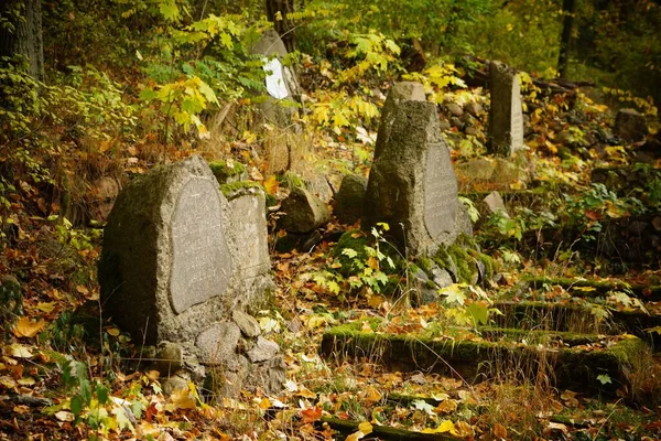 Tombe Nobili Della Famiglia Treskow Nella Foresta Owinska Polonia — Foto Stock