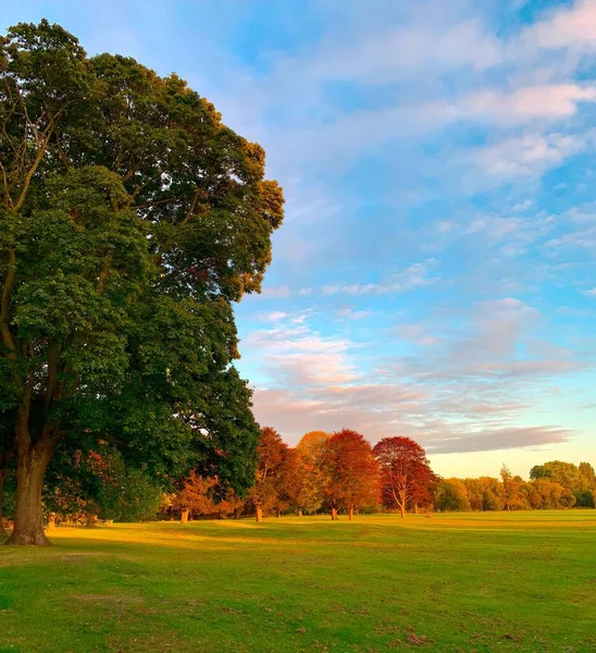 秋の季節にイギリスのヘレフォードにある公園の木々や草原の風景 — ストック写真