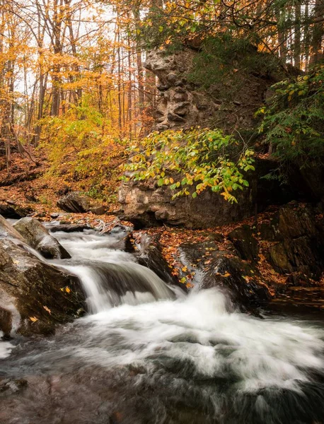 森の中の岩の上を流れる小さな滝の垂直ショット — ストック写真