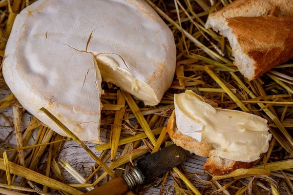 Detailní Záběr Francouzského Sýra Tomme Savoie Plátek Bagety — Stock fotografie