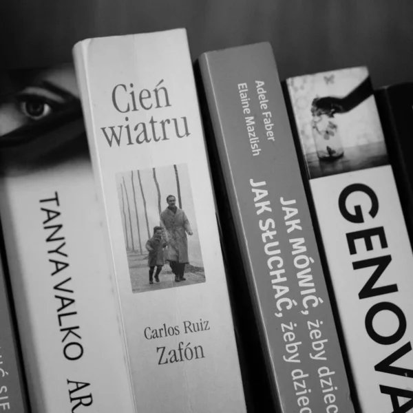 Une Rangée Livres Polonais Dont Shadow Wind Roman Carlos Ruiz — Photo
