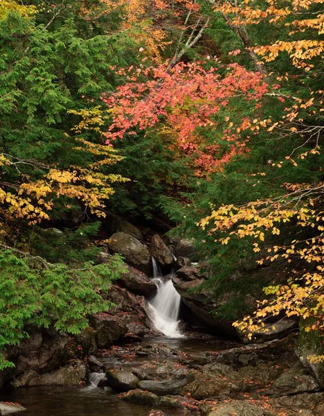 森の中の岩の上を流れる小さな滝の垂直ショット — ストック写真
