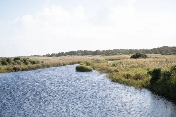 Krásný Záběr Řeky Protékající Venkovským Polem Nizozemsku — Stock fotografie