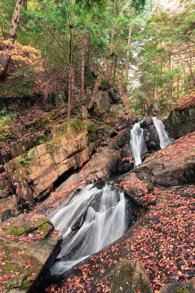 Вертикальный Снимок Маленького Водопада Текущего Скалам Лесу — стоковое фото