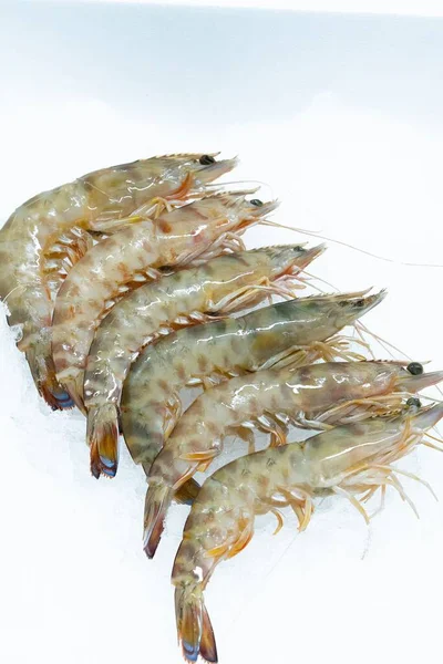 Plan Vertical Crevettes Fraîches Crues Sur Glace Exposée Dans Marché — Photo