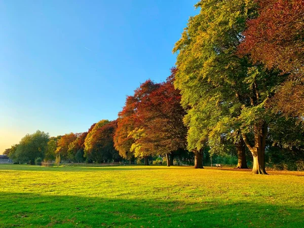 Hereford Ngiltere Deki Bir Parkta Sonbahar Mevsimi Boyunca Ağaçların Çimenlerin — Stok fotoğraf