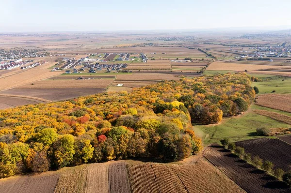 Luftaufnahme Eines Herbstwaldes Einem Sonnigen Tag — Stockfoto