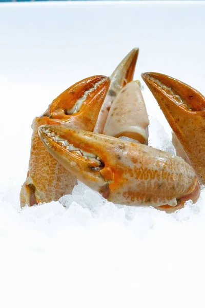 Eine Vertikale Aufnahme Von Scheibenteilen Einer Krabbe Isoliert Auf Weißem — Stockfoto