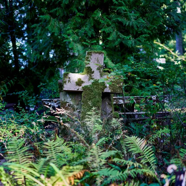 Stary Krzyż Grobie Pokrytym Mchem Starym Cmentarzu — Zdjęcie stockowe