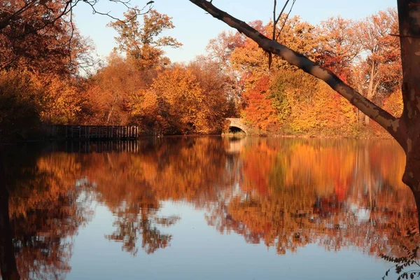 Lago Com Reflexo Árvores Queda Nele — Fotografia de Stock