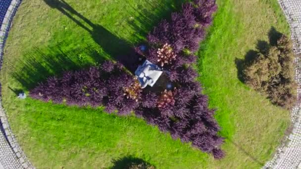 Veduta Drone Una Statua Una Rotonda Elverum Norvegia — Video Stock