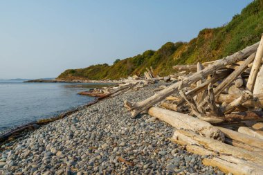 Sahilin doğal bir manzarası.
