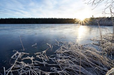 Kışın gün batımında ağaçların arka planında bir gölün güzel bir görüntüsü.