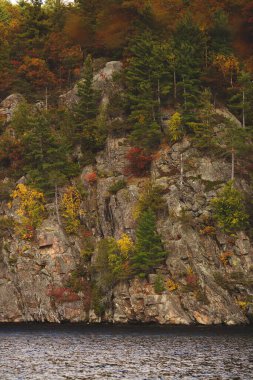 Ontario, Kanada 'daki ormanın yakınındaki güzel bir gölün dikey görüntüsü.