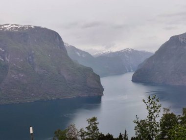 Nordfjord fiyortlu Norveç manzarası, Olden, Norveç 'te dağlar, ağaçlar ve buzullar