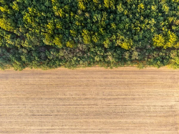 Aerial Shot Empty Farm Field Forest — Stock Photo, Image