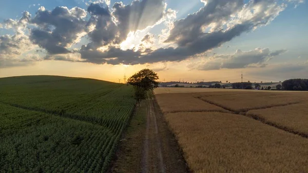Ένα Όμορφο Τοπίο Ενός Αγρού Στο Ηλιοβασίλεμα — Φωτογραφία Αρχείου
