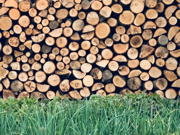 Beautiful View Wood Background — Stock Photo, Image