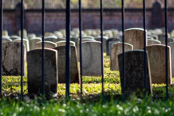 Primer Plano Cementerio Con Muchas Lápidas Detrás Barandillas Negras Flores —  Fotos de Stock