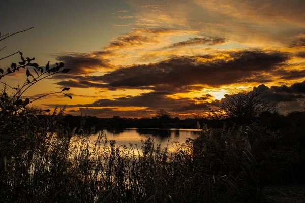 Маленькое Озеро Природа Парке Нидерландах — стоковое фото