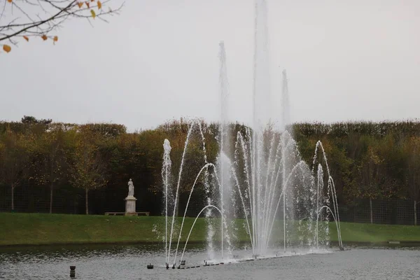 公园里被茂密的树木环绕的喷泉的空中景观 — 图库照片
