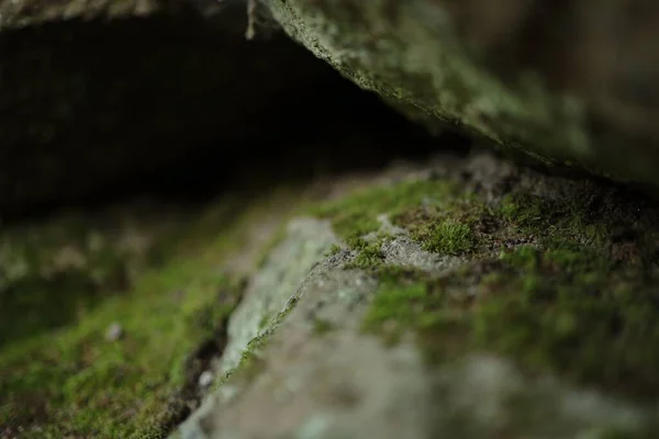 Zbliżenie Szorstkich Kamieni Pokrytych Zielonym Mchem — Zdjęcie stockowe