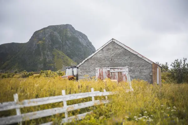 Trälada Det Gröna Fältet Lofoten — Stockfoto
