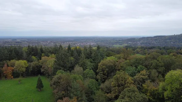Eine Luftaufnahme Von Herbstbäumen Wald Vor Bewölktem Himmel — Stockfoto
