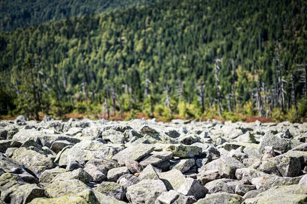 巴伐利亚国家公园卢森山顶花岗岩块 — 图库照片
