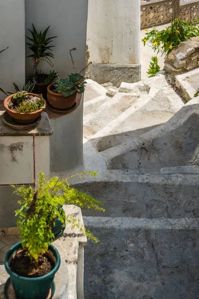 希腊喀尔巴阡山Olympos村一条有盆栽的街道上的石阶狭长 垂直拍摄 — 图库照片