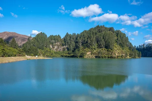 Groene Bomen Weerspiegeld Kalme Matahina Lake Baai Van Overvloed Nieuw — Stockfoto