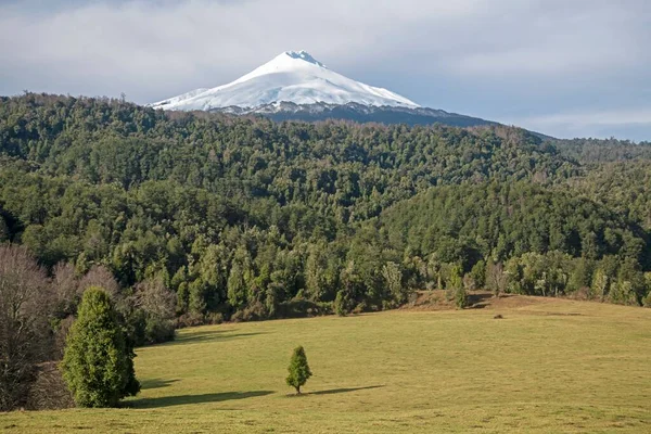 Şili Nin Planında Ormanı Olan Karla Kaplı Bir Dağ — Stok fotoğraf