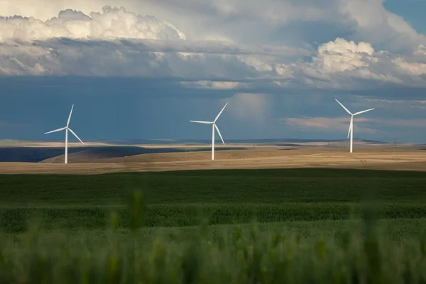 Vindkraftstornen Den Grumliga Blå Himlen Landsbygden Oregon — Stockfoto