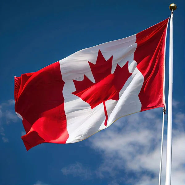Kanadas Flagga Viftar Mot Molnig Himmel — Stockfoto