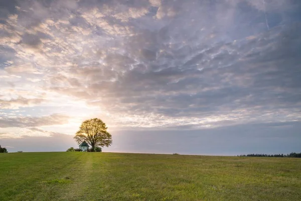 Sunset Landscape Chapel Huge Tree Isolated Wide Meadow — Stock Photo, Image