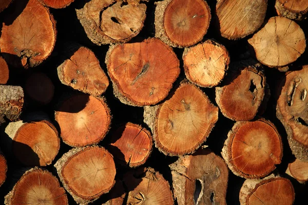Het Brandhout Elkaar Gestapeld — Stockfoto