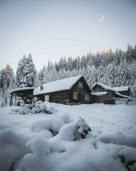 Vertikální Záběr Dřevěných Domků Pokrytých Sněhem Před Bílými Smrky Pod — Stock fotografie