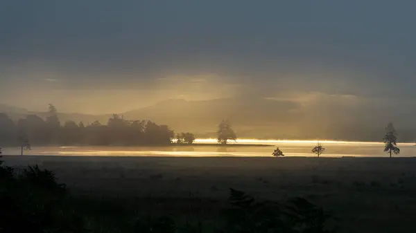 Красива Сцена Заходу Сонця Лісі Деревами Горами Туманній Відстані — стокове фото