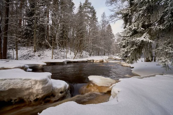Ένα Ποτάμι Τρέχει Μέσα Από Χιονισμένο Δάσος — Φωτογραφία Αρχείου