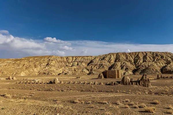 Het Bos Landvormen Stenen Formaties Zada County Ali Prefecture Tibet — Stockfoto