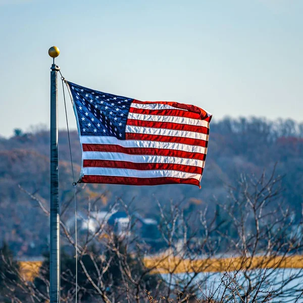 Amerykańska Flaga Dumnie Macha Wietrze Słupie Drzewami Tle Pod Czystym — Zdjęcie stockowe