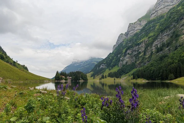 Krásný Záběr Průzračné Jezero Seealpsee Poblíž Skalnatých Zelených Hor Švýcarsku — Stock fotografie