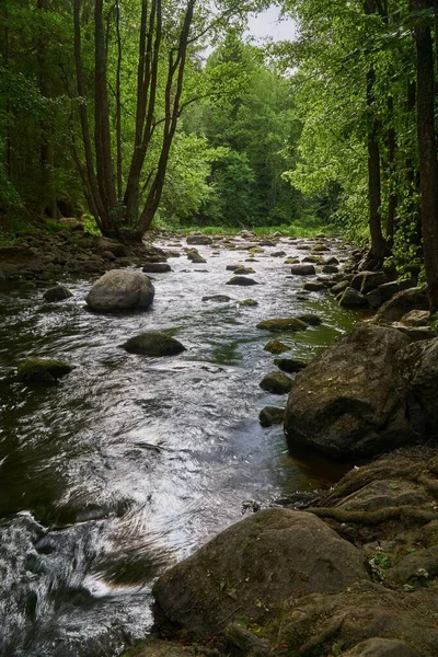 Plano Vertical Del Río Que Corre Por Bosque — Foto de Stock